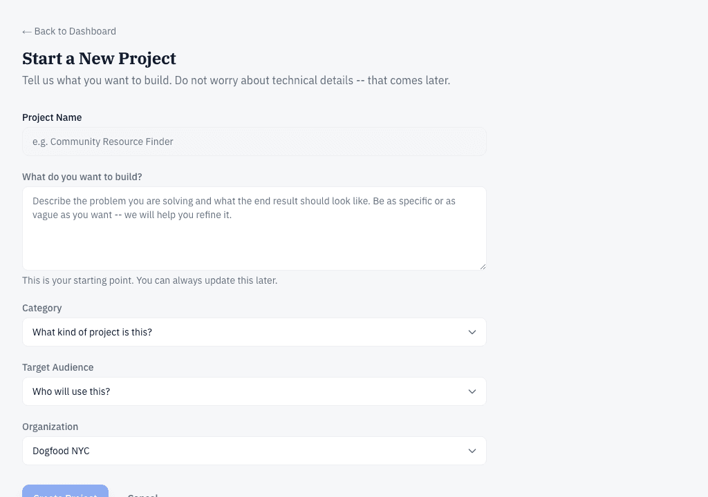 The Start a New Project form: project name, what you want to build, category, target audience, and organization.